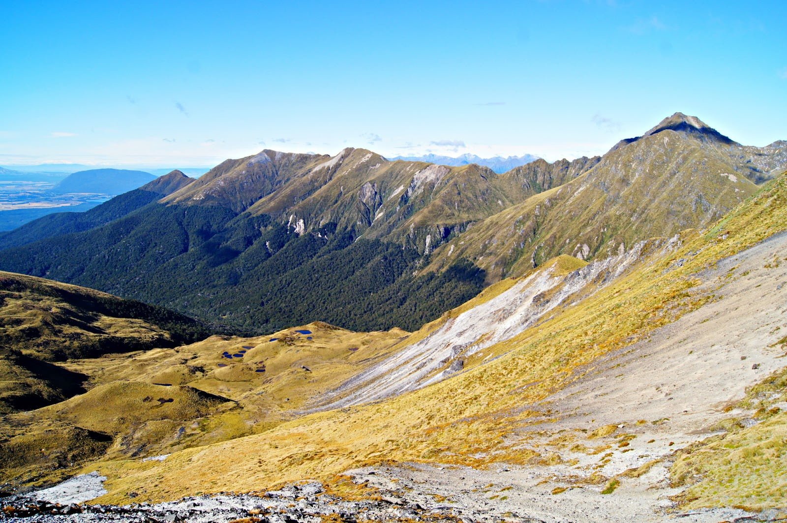 Kepler Track