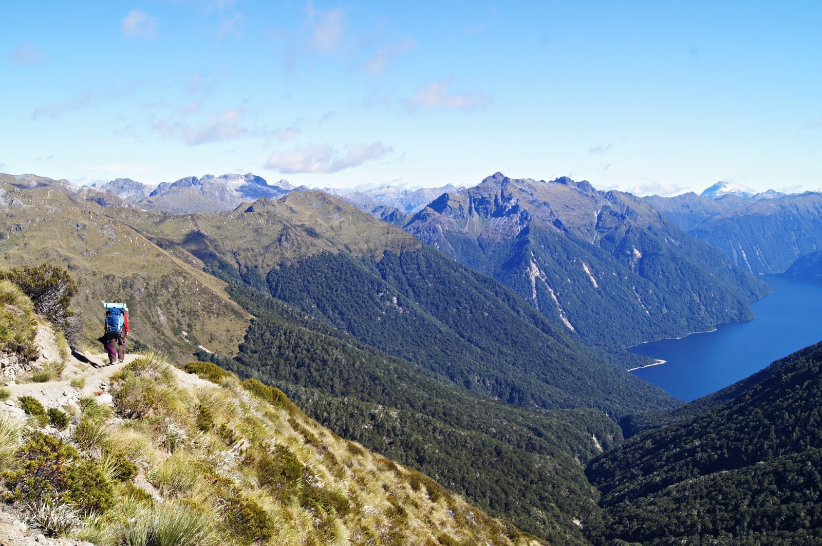 Kepler Track