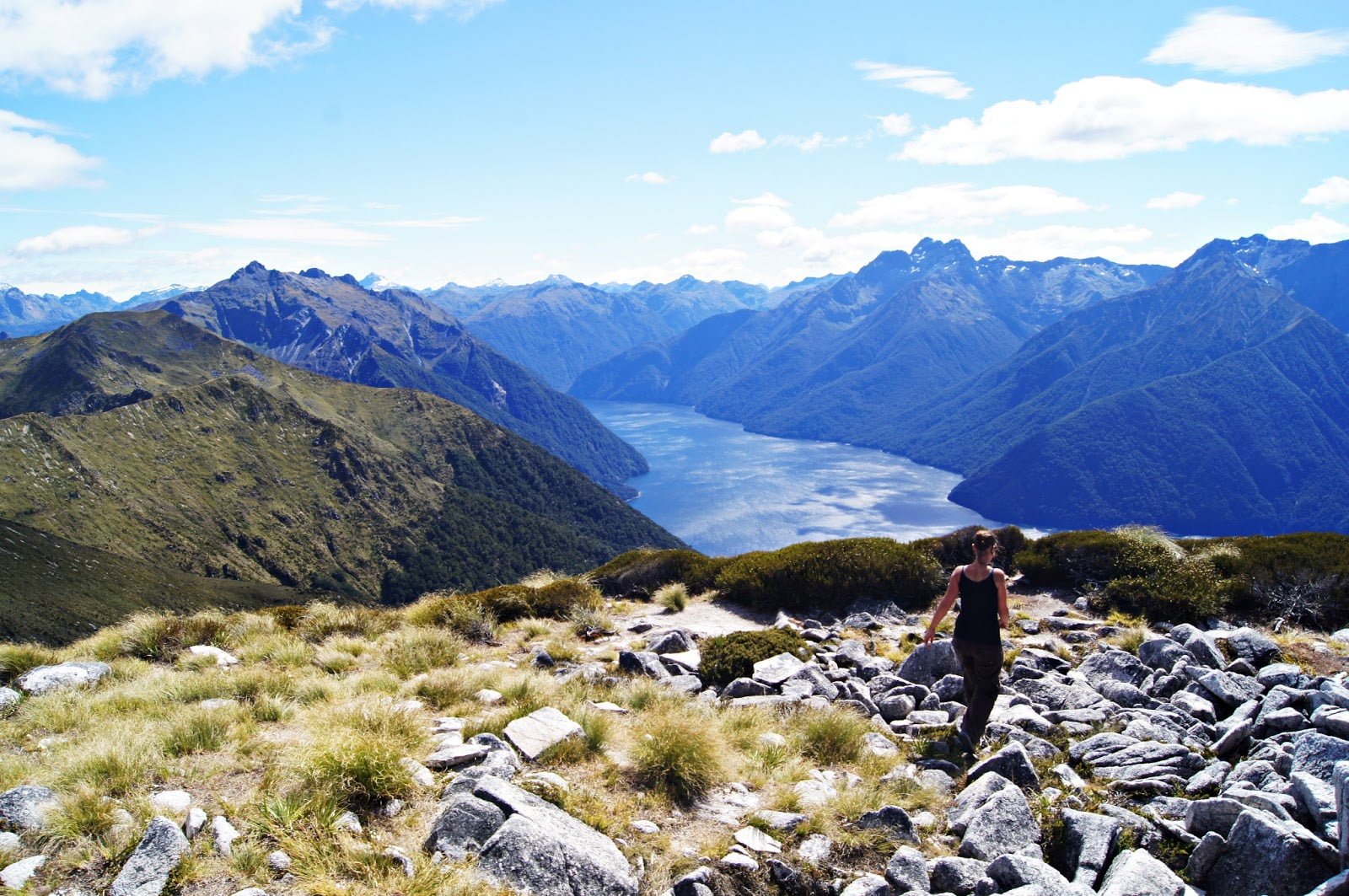 Kepler Track