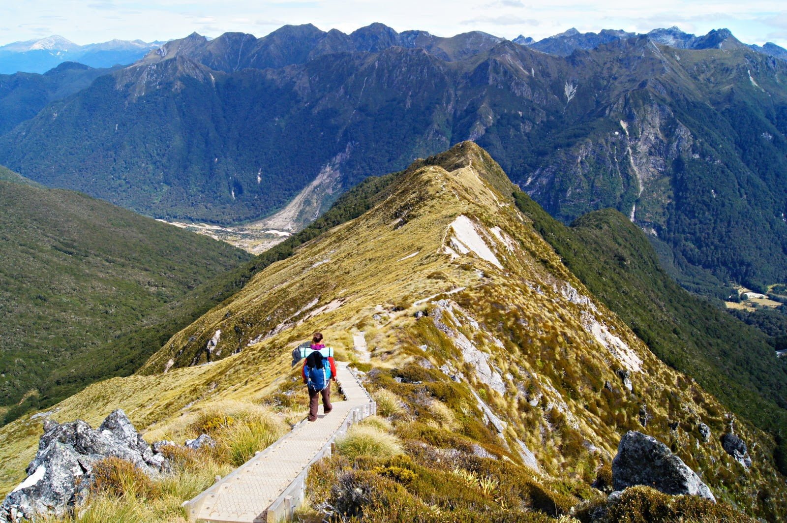Kepler Track