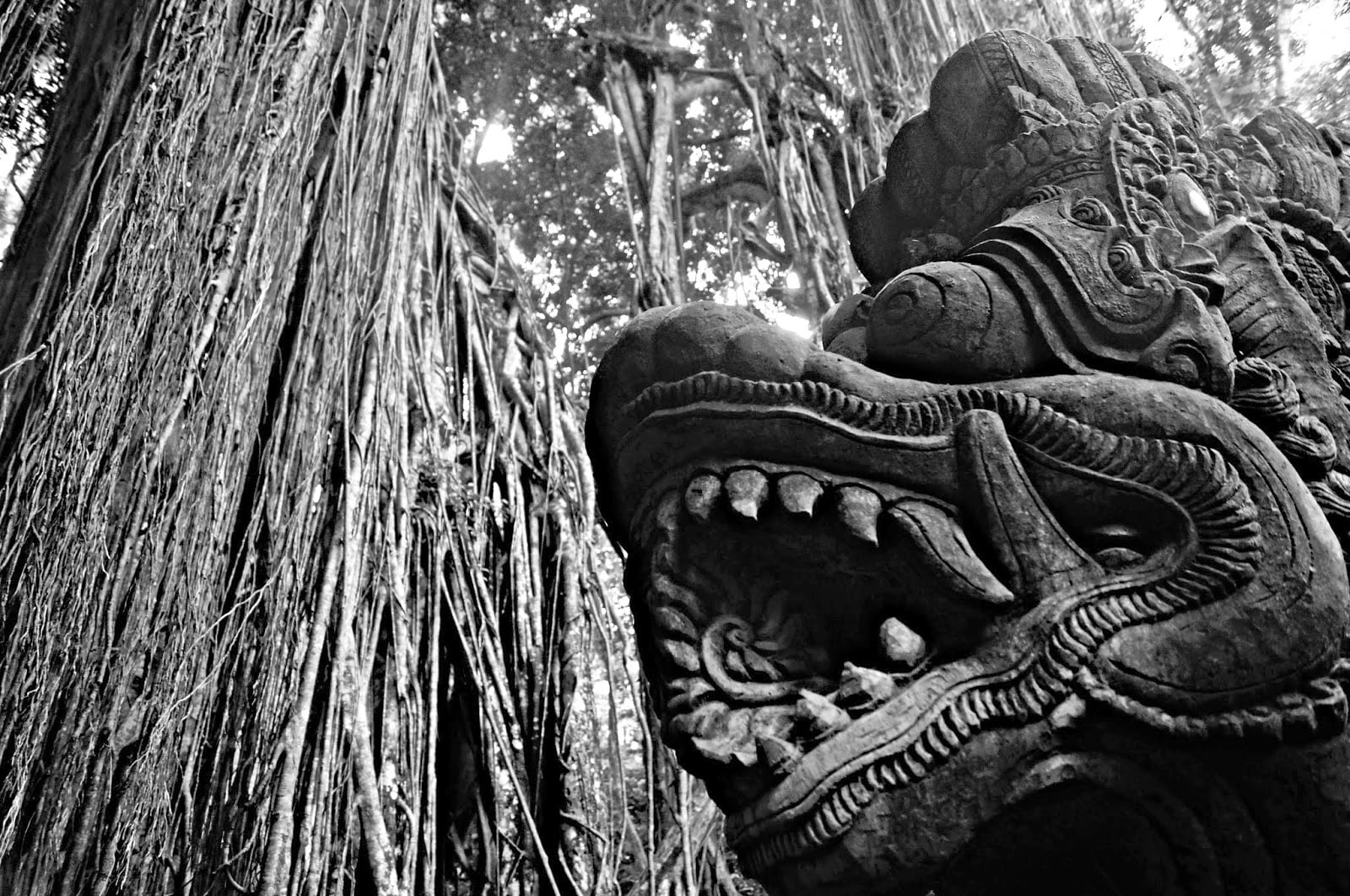 Una de las cosas que ver en Ubud