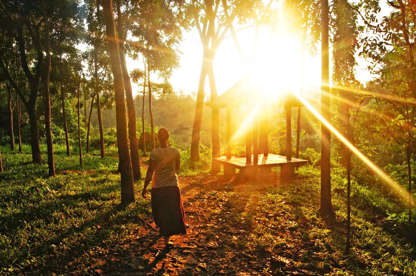 Atardeciendo en el Sacred Monkey Forest. Qué ver en Ubud.