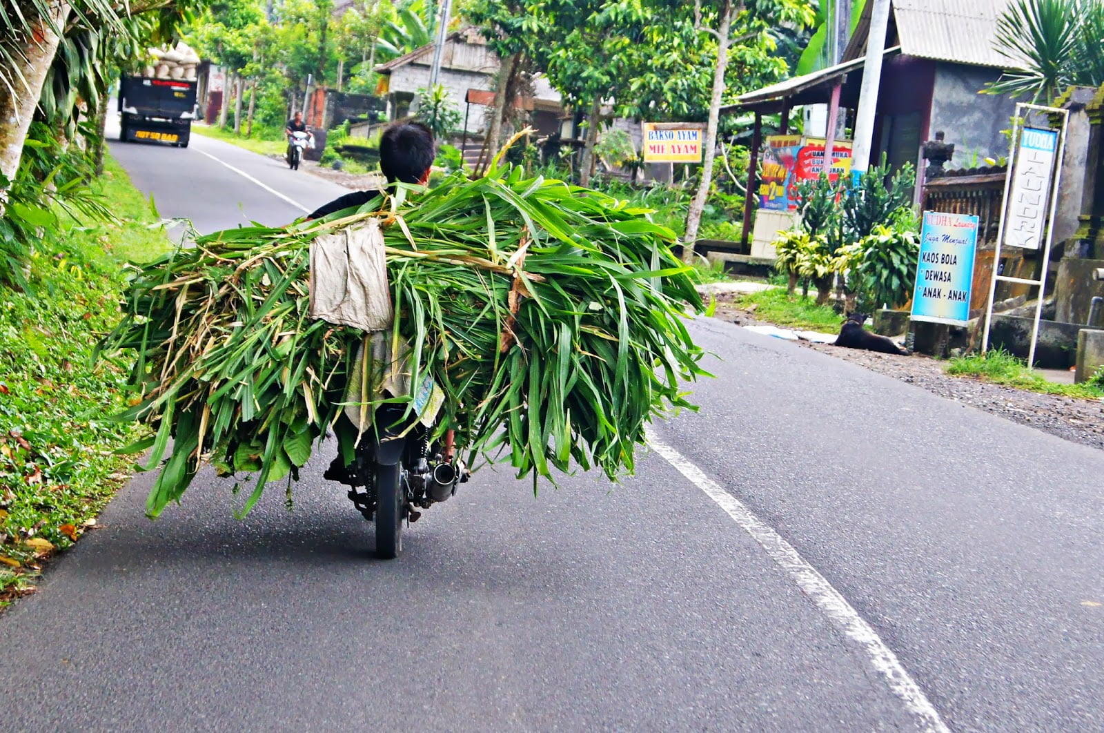 Motos-camiones de Bali