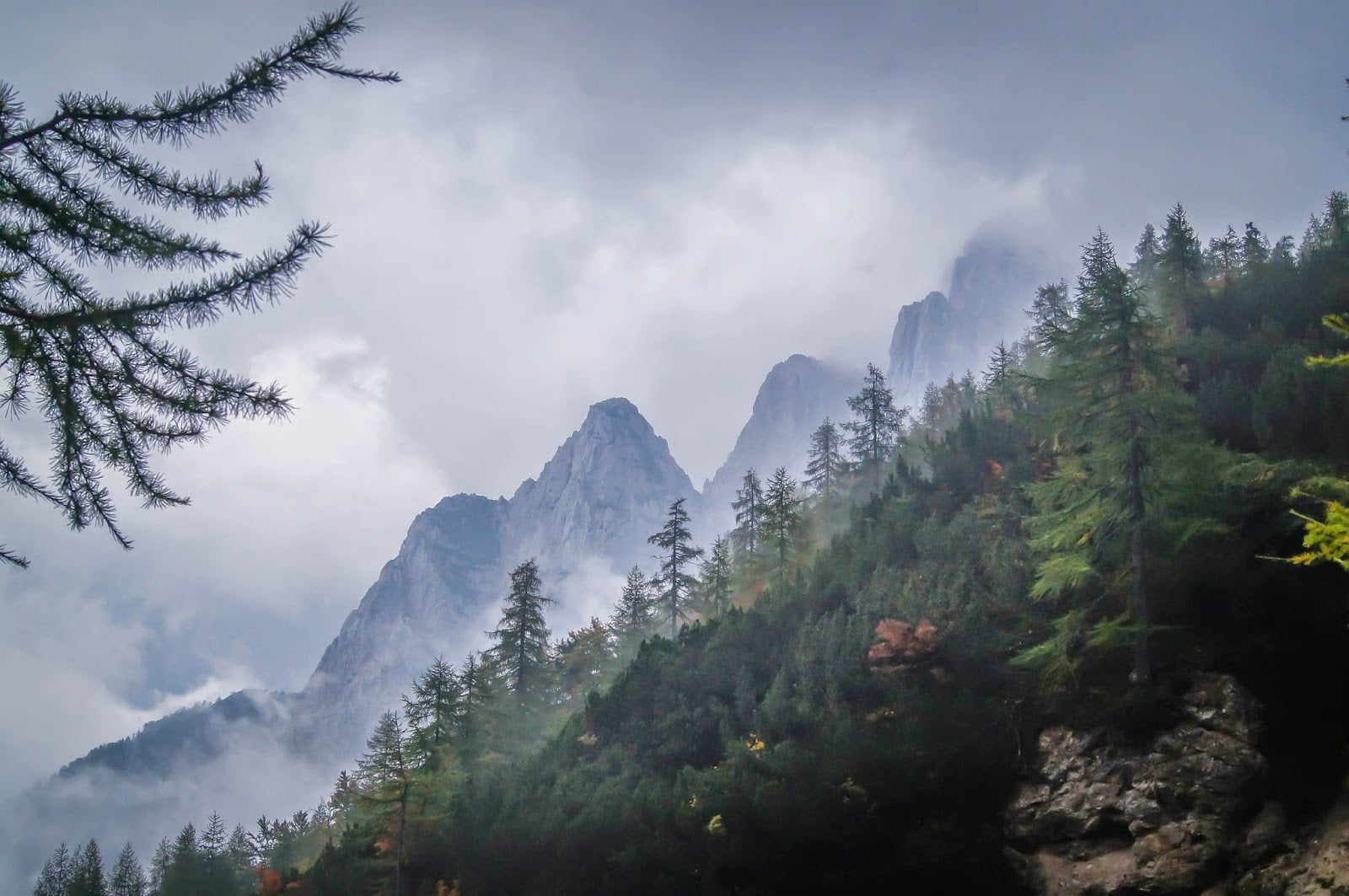 Visita al lago Bohinj y al paso de Vršič
