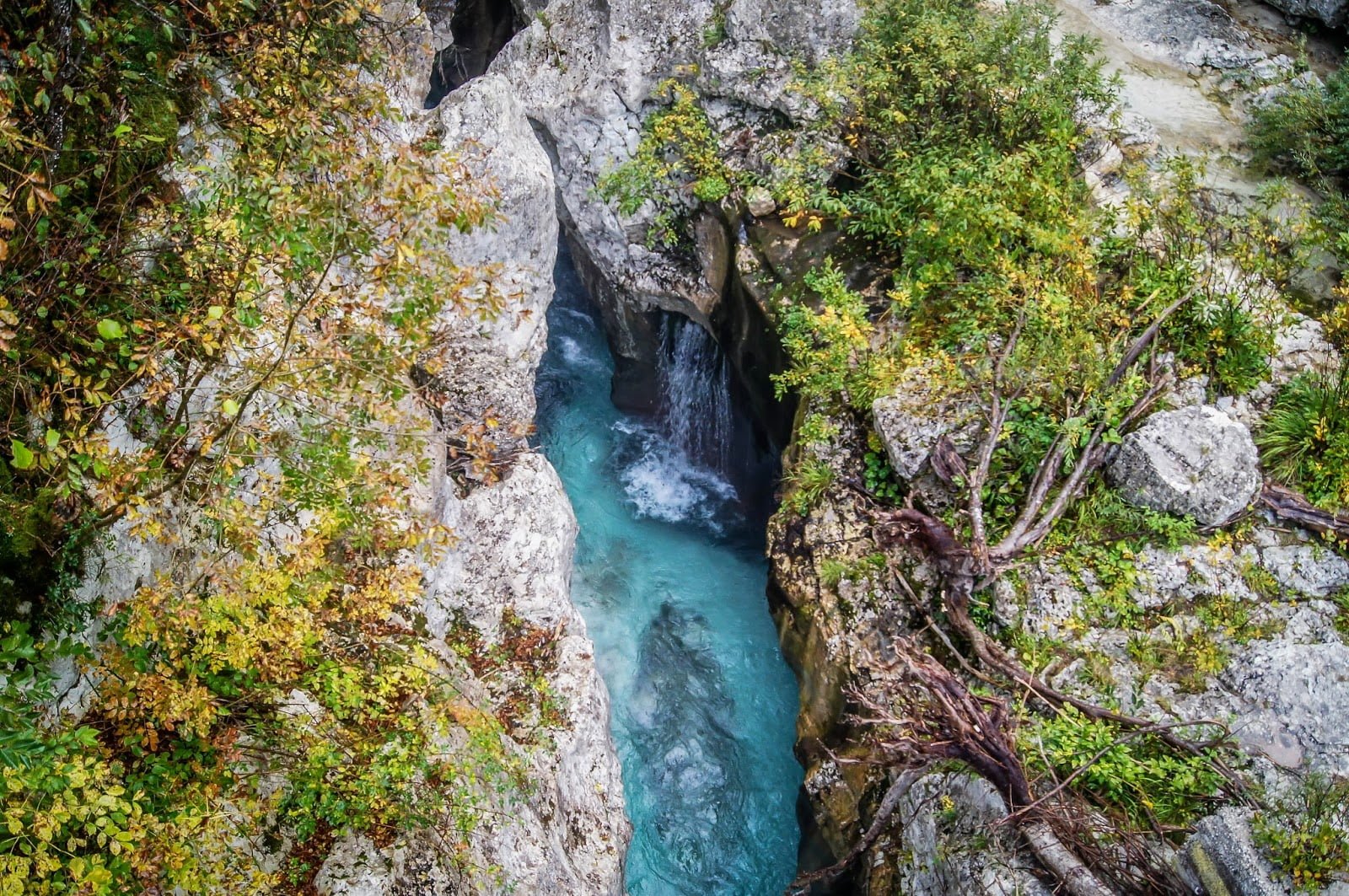 Visita al lago Bohinj y al paso de Vršič