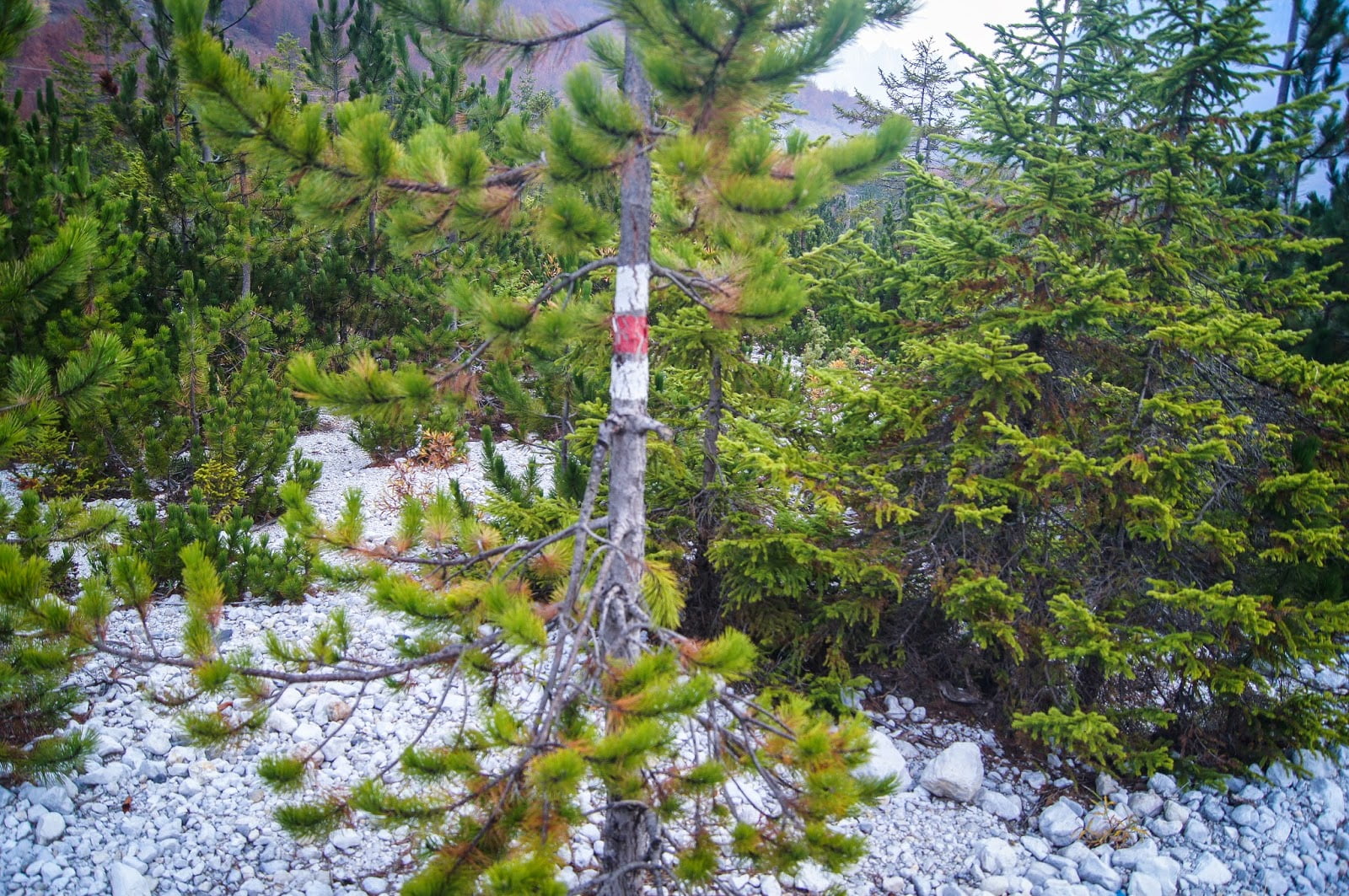 Marcas en la caminata Valbona - Theth