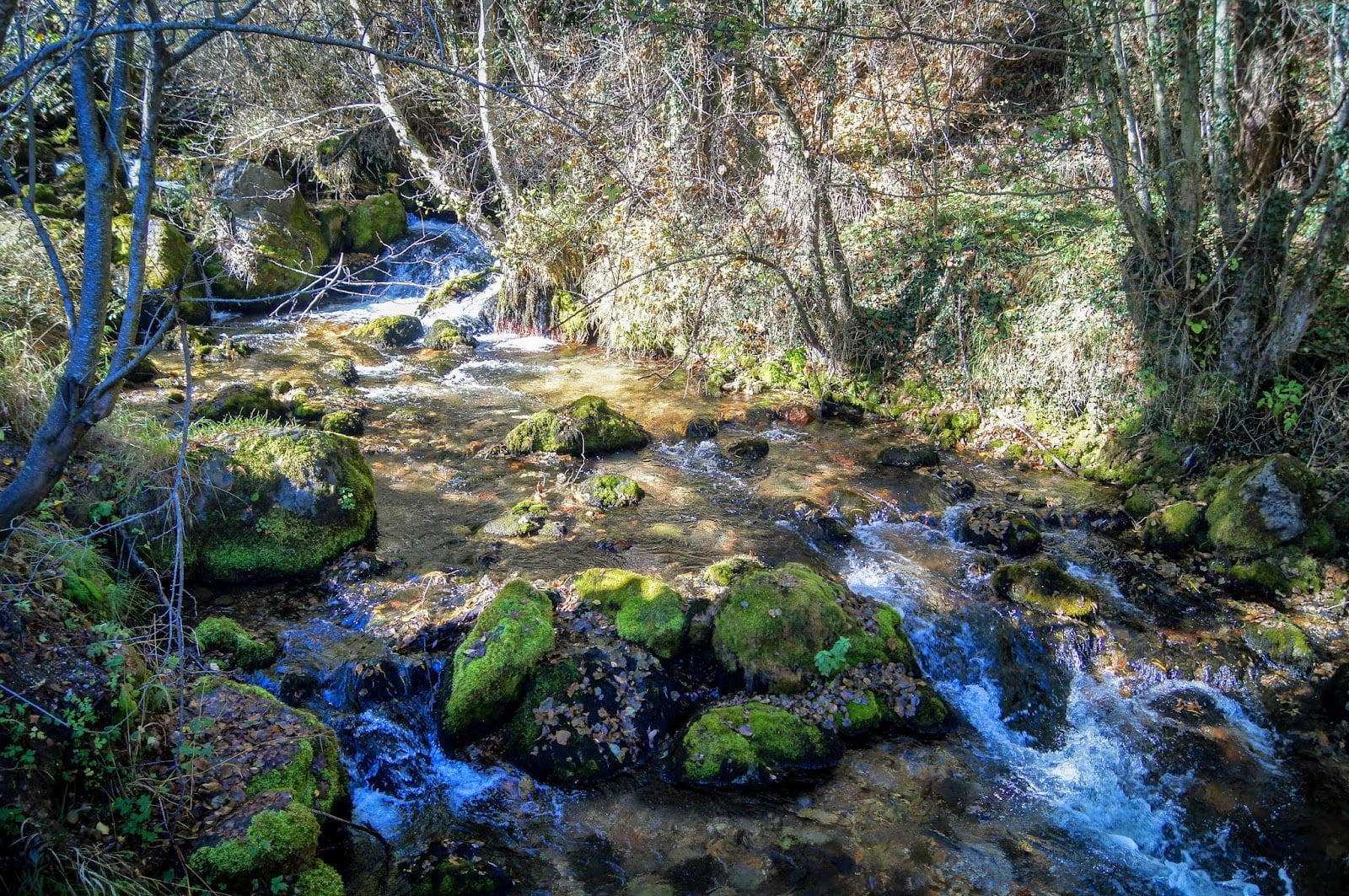 Manantiales de Vevchani Manantiales de Vevchani